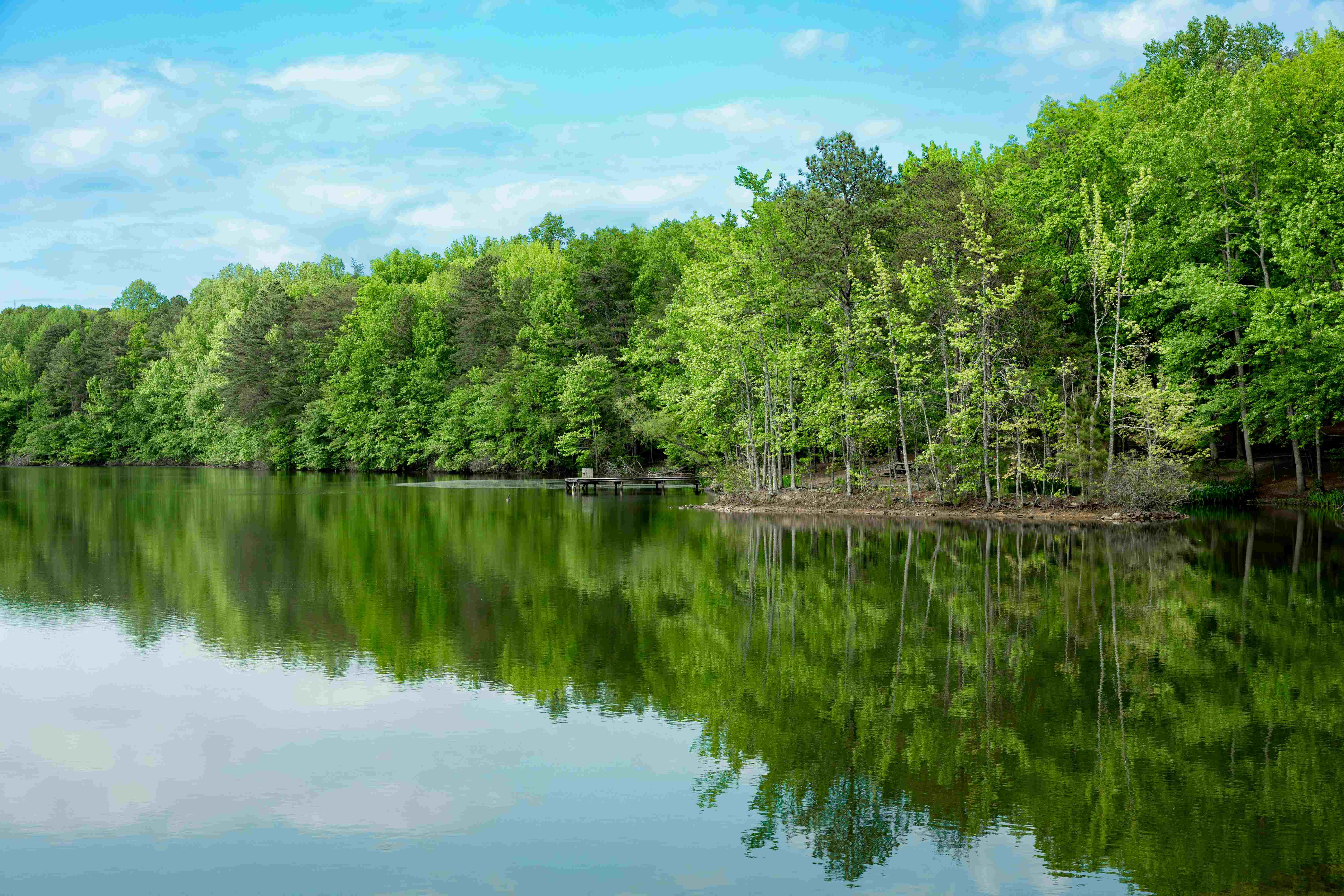 Peaceful lake surrounded by lush green trees reflecting on calm water under a blue sky 