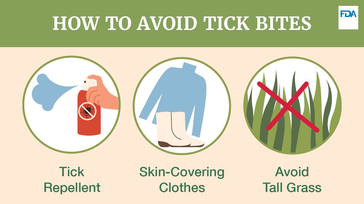 Headed out for a summertime adventure? Protect yourself and your loved ones from tick bites by using an EPA-registered insect repellent. 