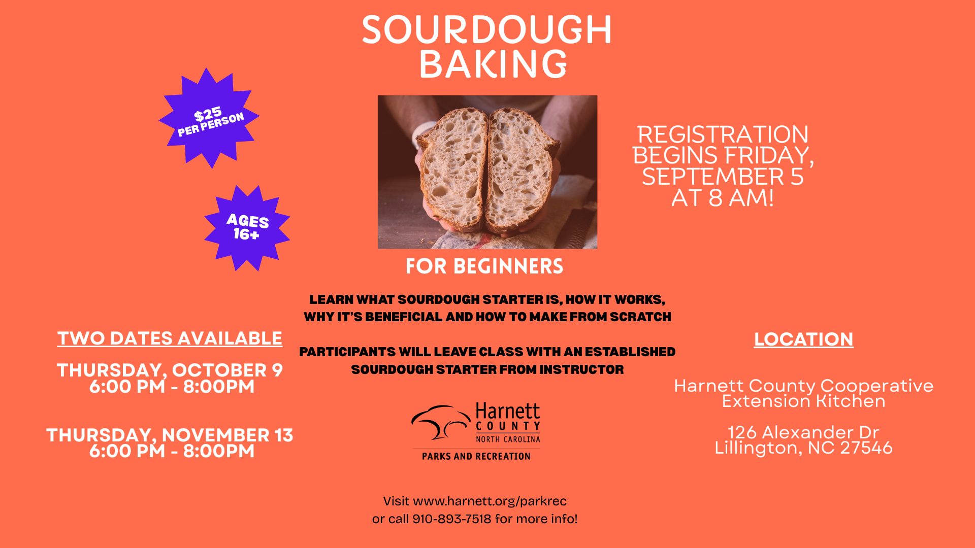 Sourdough Baking for Beginners