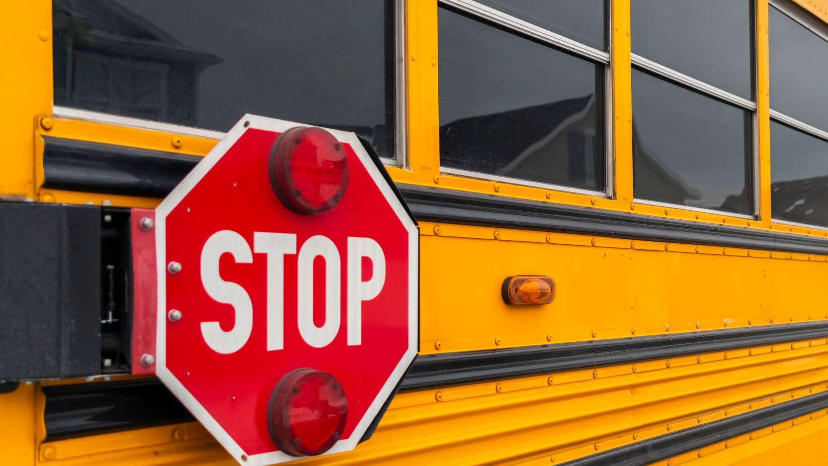 School Bus Safety Program